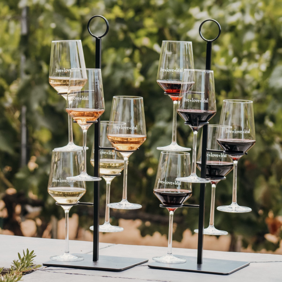 Wine flight tasting at a winery in Morgan Hill CA with red and white wines overlooking vineyard rows