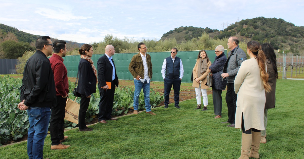 Corporate group networking outdoors at a vineyard, highlighting unique event venues in California at Leal Vineyards