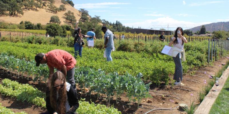 The Dos and Don’ts of Hosting a Corporate Retreat