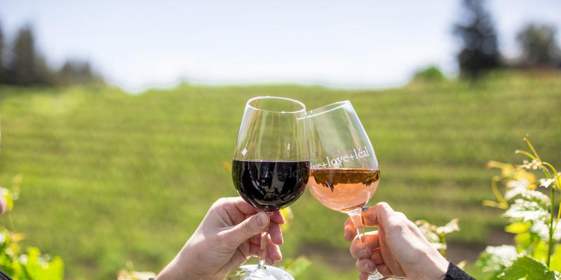 Guests toasting red and rosé wine at a scenic vineyard in Morgan Hill CA