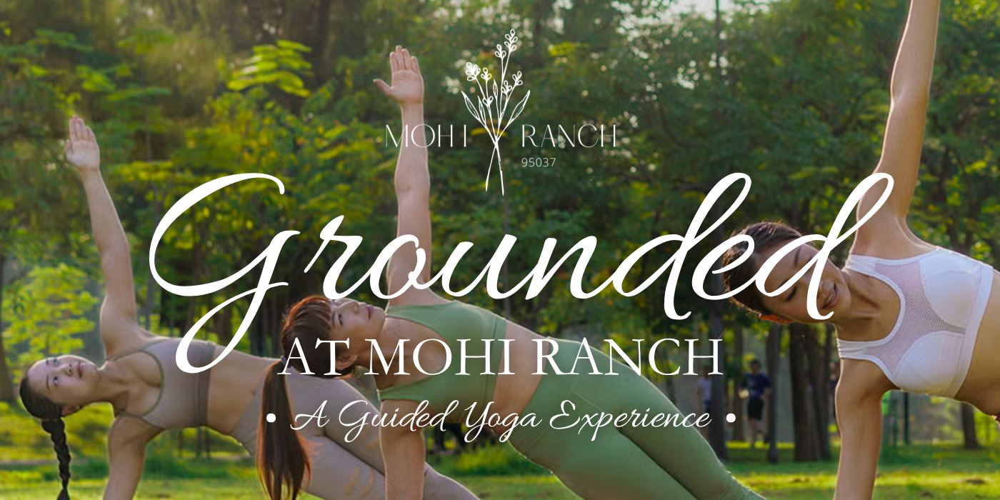 Grounded at MOHI Ranch - Outdoor Yoga