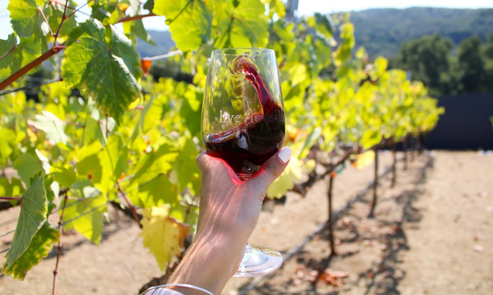 A Guide to California’s Most Underrated Wine Country