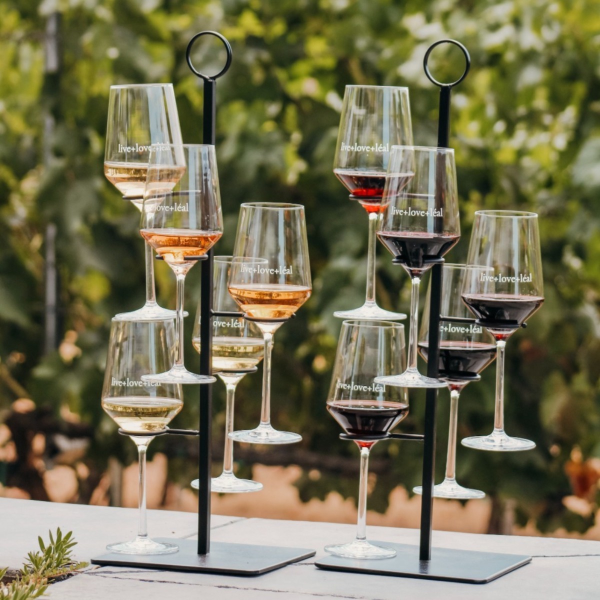 Wine tasting flight with red white and rosé pours at a winery in Morgan Hill CA