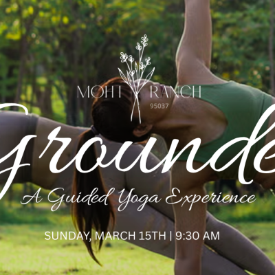 GROUNDED YOGA EXPERIENCE 