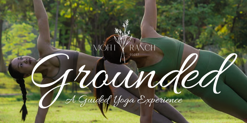 Grounded yoga experience at MOHI Ranch