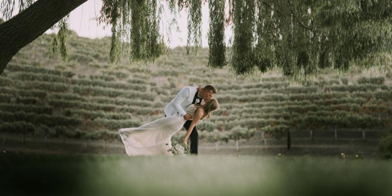 Bride and groom sharing a kiss under a tree at a vineyard wedding venue in Hollister CA
