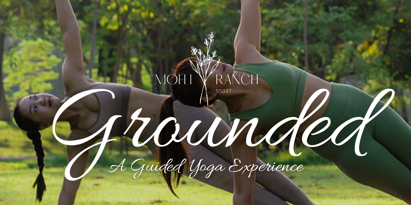 Grounded yoga experience at MOHI Ranch