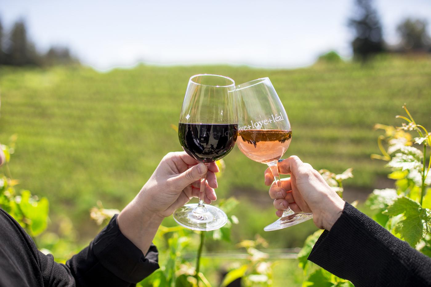 Guests toasting red and rosé wine at a scenic vineyard in Morgan Hill CA