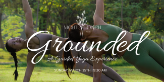 grounded yoga experience